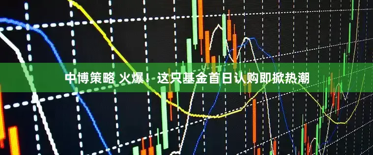 中博策略 火爆！这只基金首日认购即掀热潮