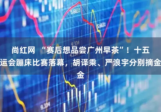 尚红网  “赛后想品尝广州早茶”！十五运会蹦床比赛落幕，胡译乘、严浪宇分别摘金