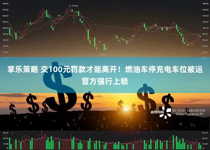 掌乐策略 交100元罚款才能离开!燃油车停充电车位被运营方强行上锁